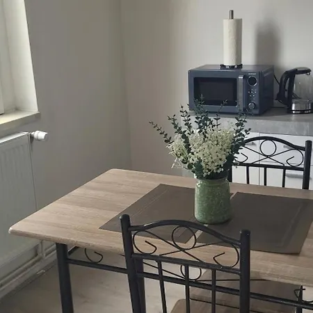 Ap 4 35qm Bei Oschersleben Und Helmstedt Apartment Ausleben